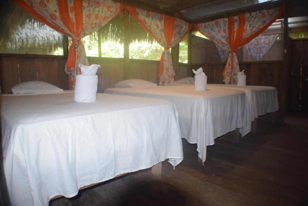 Foto dalla galleria di Lodge Jungle Wolf Expeditions a Yucuruche