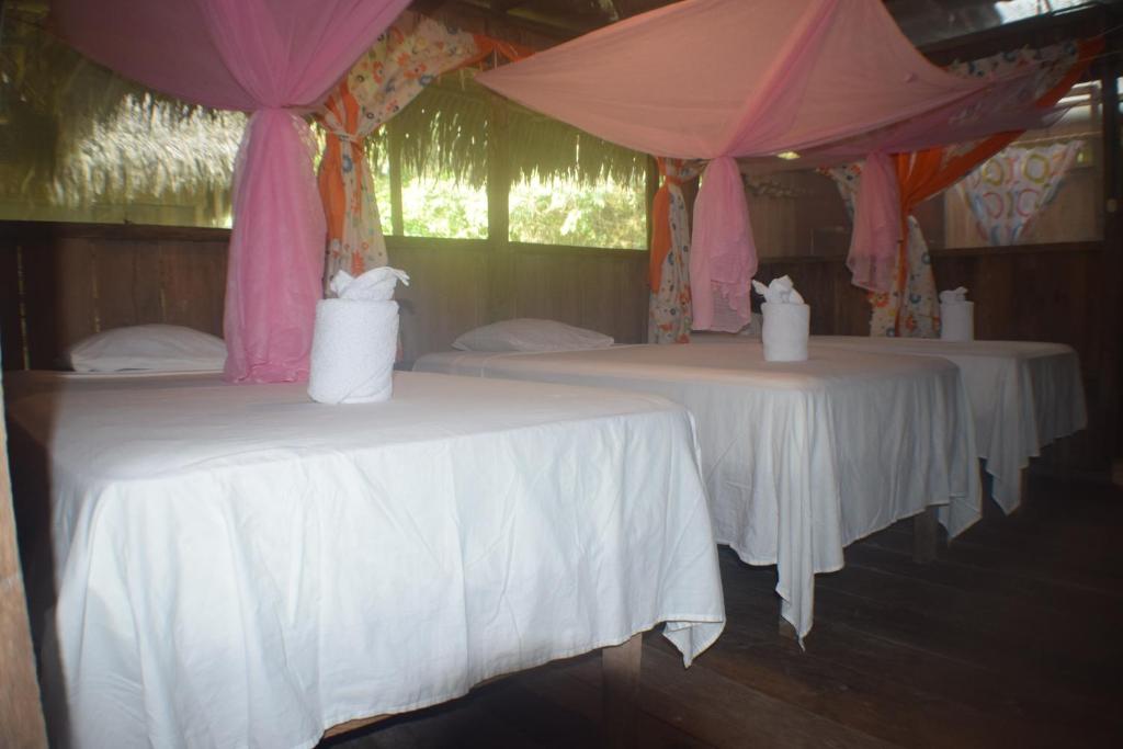 Letto o letti in una camera di Lodge Jungle Wolf Expeditions