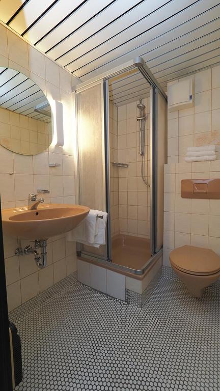 Hotel Goldener Hirsch Mosbach - Single Room