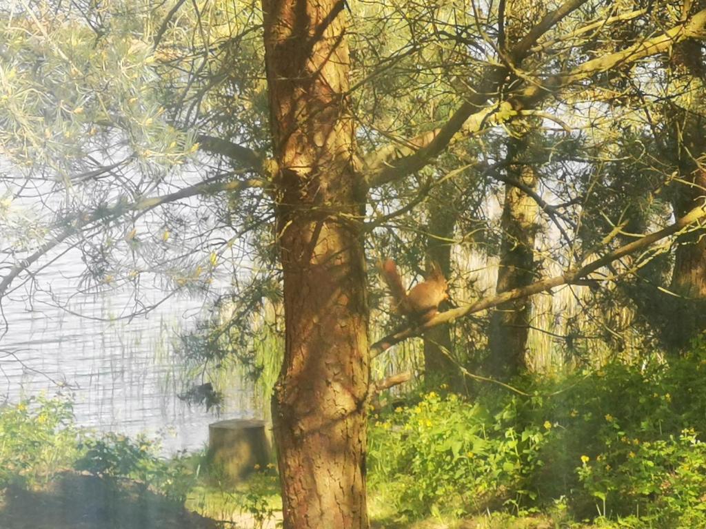 Príroda v okolí dovolenkového domu