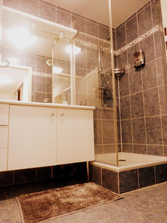 GITE LA HOUBLONNIÈRE STANDING et CONFORT à COLMAR – photo 8
