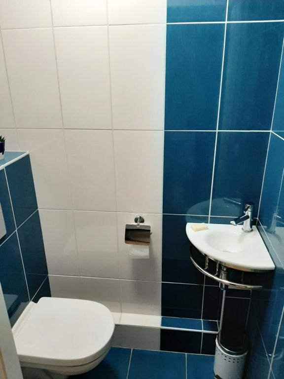 GITE LA HOUBLONNIÈRE STANDING et CONFORT à COLMAR – photo 25