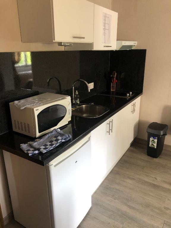 Kuchyň nebo kuchyňský kout v ubytování Appartement à l'ange