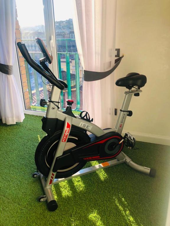 Fitness centrum a/nebo fitness zařízení v ubytování Tiffany & Babylon Luxury Stay