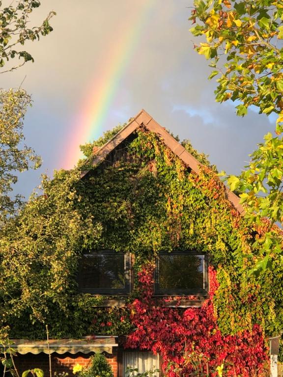 un arcobaleno sopra una casa ricoperta di edera di Haus Sonnenschein a Stafstedt