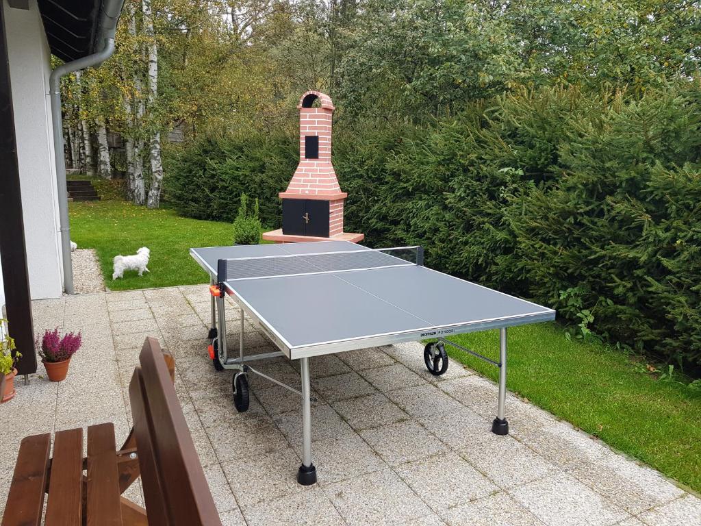Stolní tenis v ubytování Holiday House Tereza nebo okolí