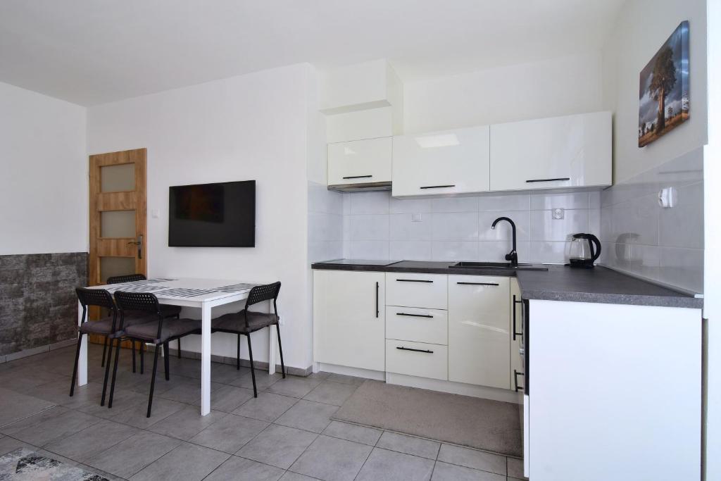 Kuchnia lub aneks kuchenny w obiekcie Apartman Nikola Trojanovice