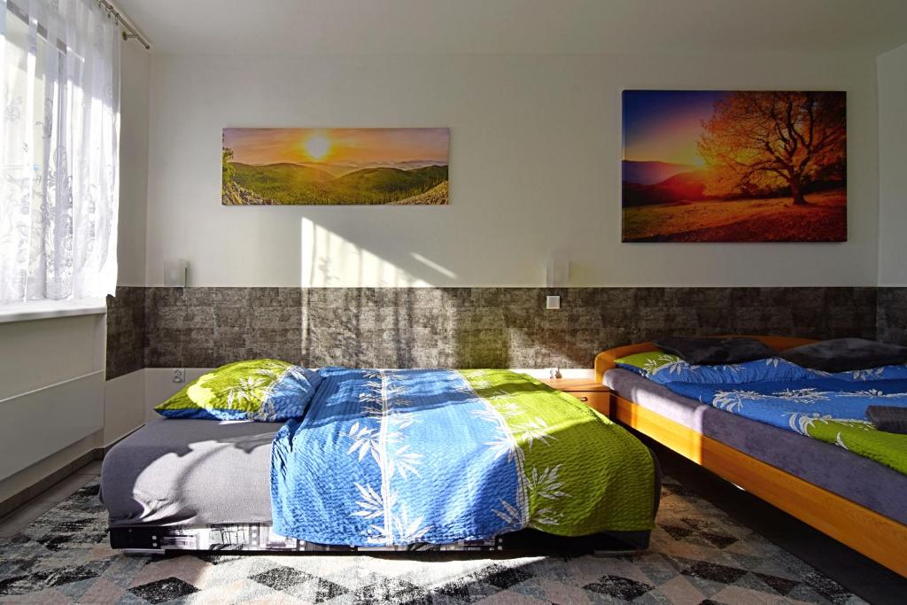 Łóżko lub łóżka w pokoju w obiekcie Apartman Nikola Trojanovice