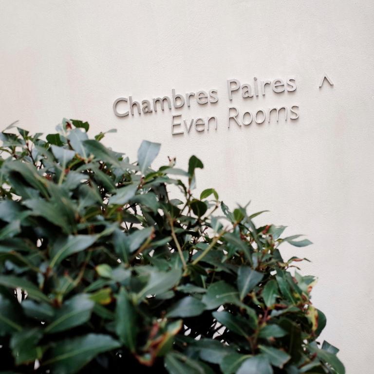 Hotel Saint Dominique - Resim 28