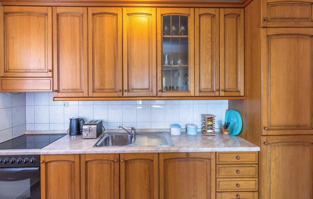 Kuchyň nebo kuchyňský kout v ubytování Apartman Mikulić Makarska