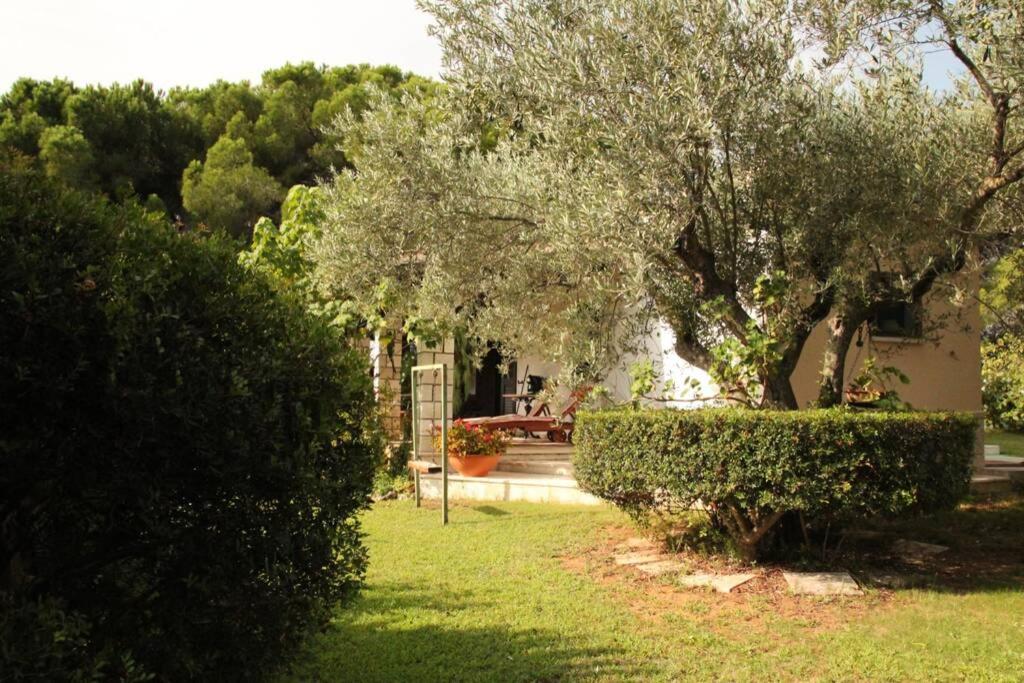 un jardín con árboles y un banco a lo lejos en Villa di campagna vicino al mare en Orosei