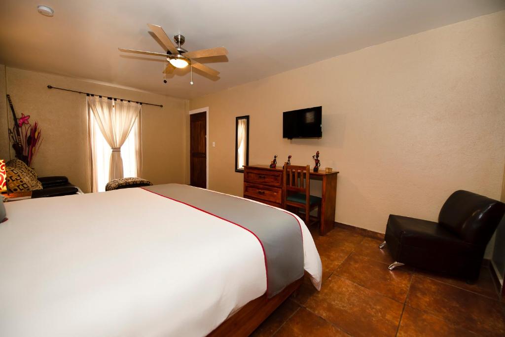 TV a/nebo společenská místnost v ubytování La Casona Tequisquiapan Hotel & Spa