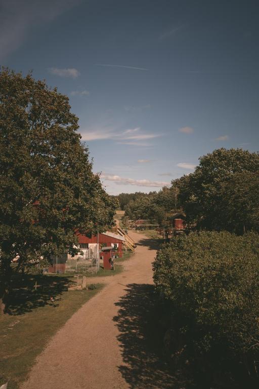 Příroda nedaleko farmy