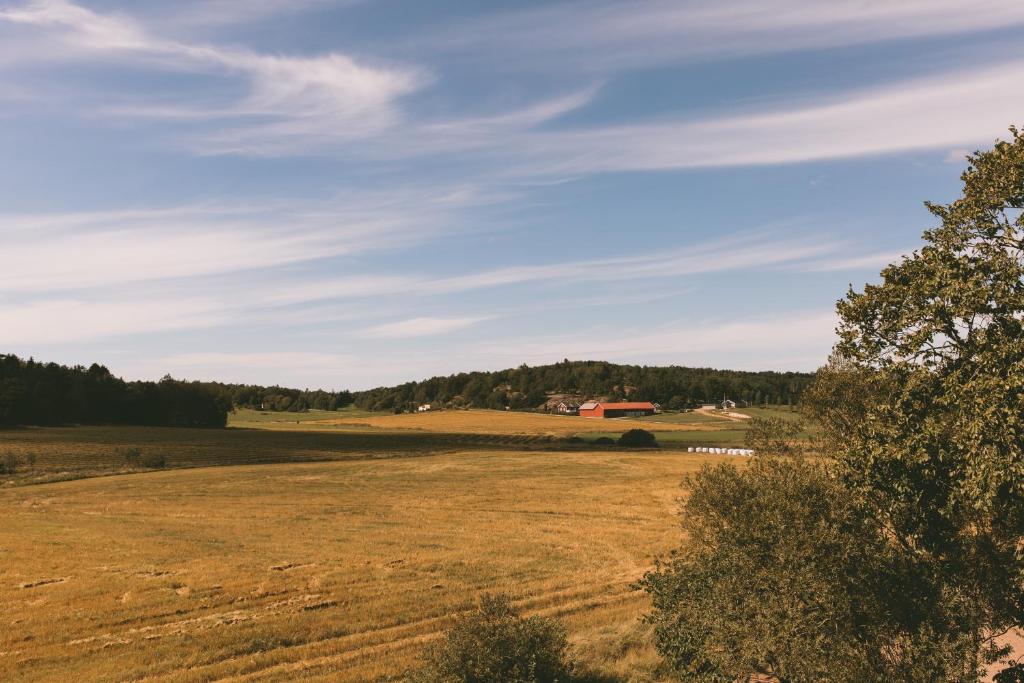 Příroda nedaleko farmy