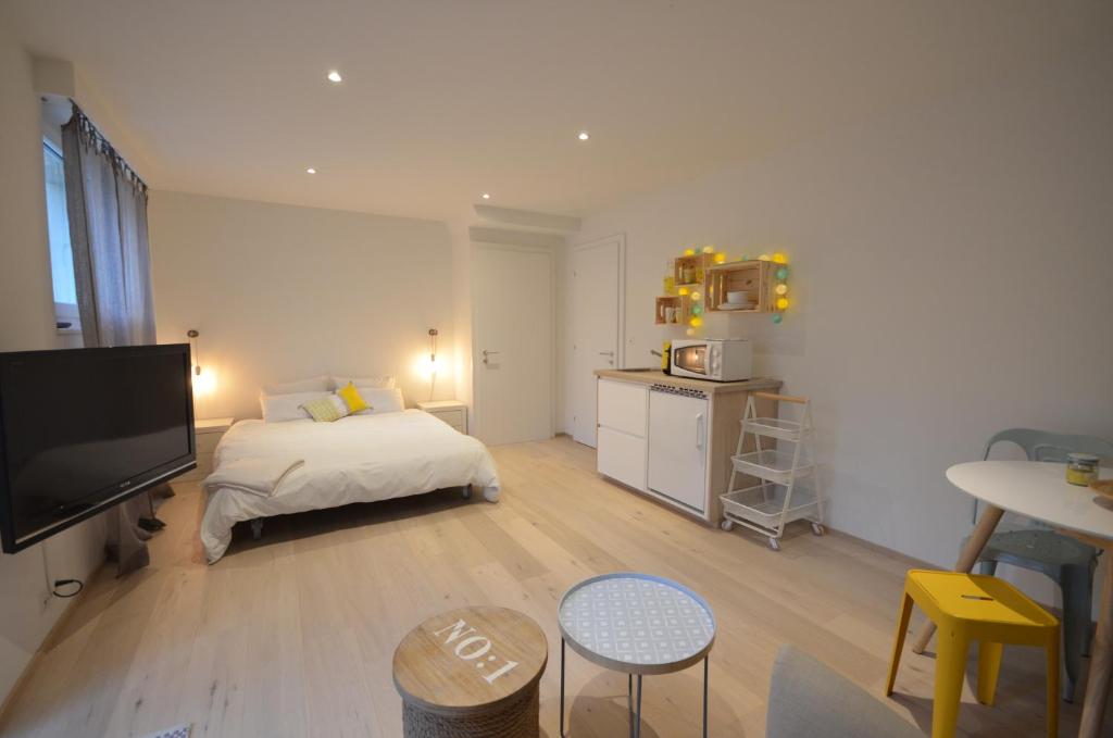 um quarto com uma cama e uma televisão em La Chambre #11 em Preverenges