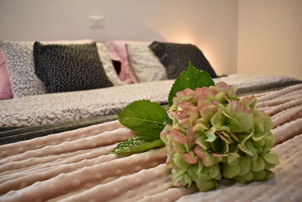Letto o letti in una camera di Rooms Ravnik