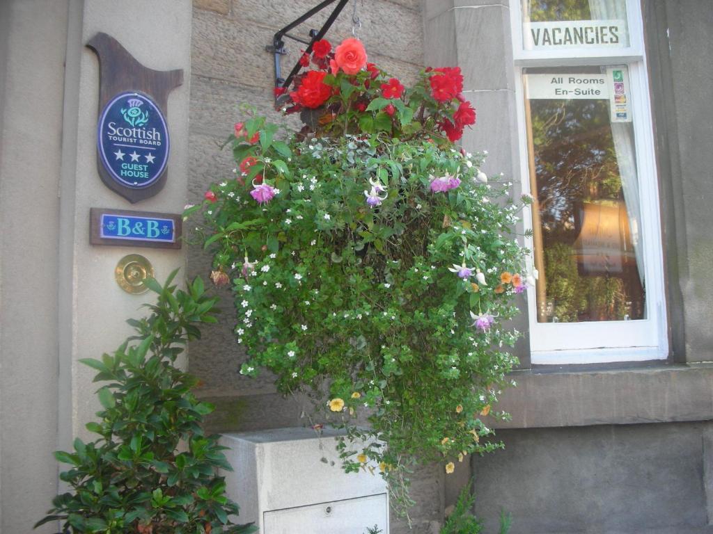Zahrada ubytování Sonas Guesthouse