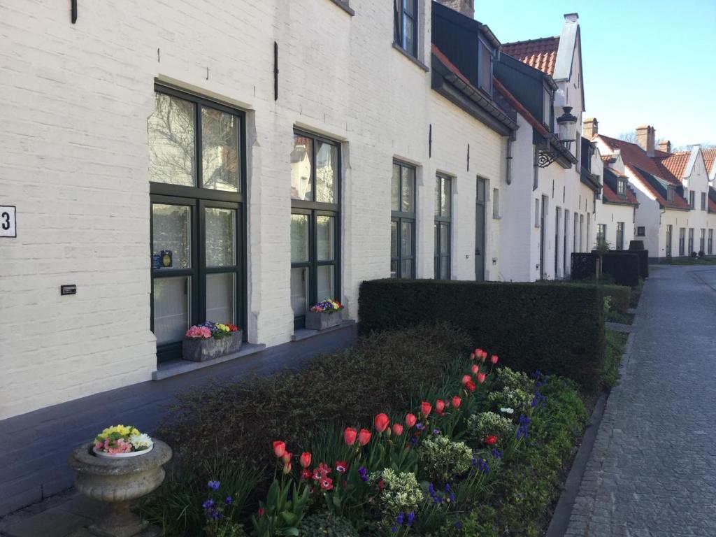 una fila de casas con flores delante de ellas en B&B Het Colettientje en Bruges