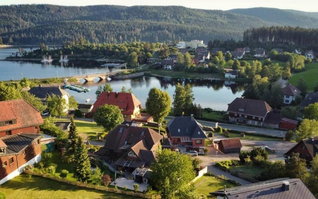 - une vue aérienne sur une petite ville à côté d'un lac dans l'établissement Landhaus-Vintage Fe-Wo-Apartment 5, à Schluchsee