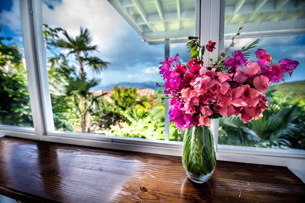 Papaya Suite at Sunset Serenade