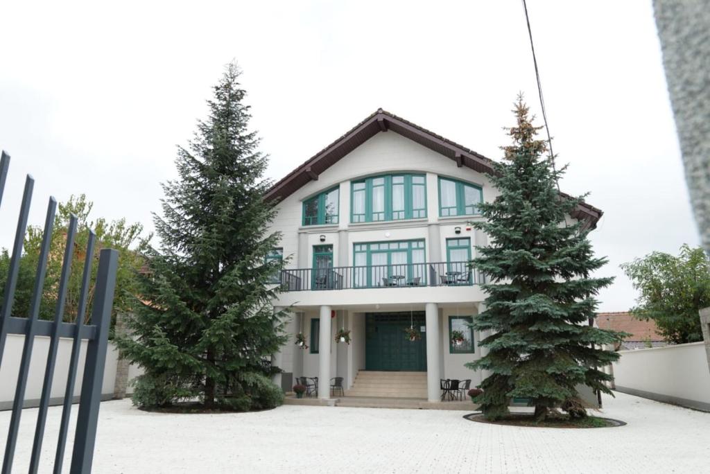 Pensiunea Green Villa during the winter