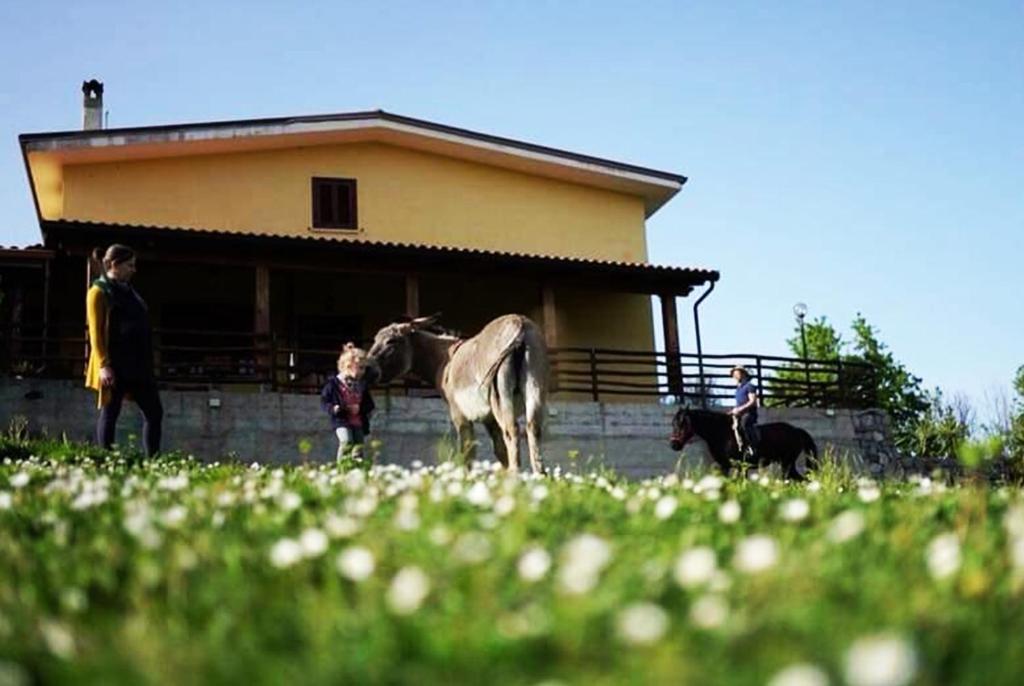 een groep mensen en paarden voor een gebouw bij Il Rifugio del Contadino Art & Nature in Bosco