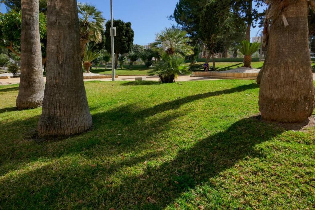 Zahrada ubytování Céntrico apartamento Playa de San Juan Alicante