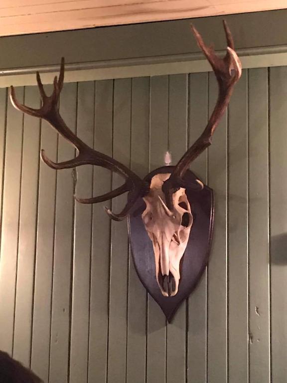 Foto dalla galleria di The Coylet Inn by Loch Eck a Dunoon