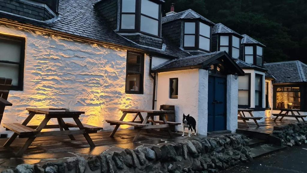 un cane in piedi di fronte a un edificio con tavoli da picnic di The Coylet Inn by Loch Eck a Dunoon