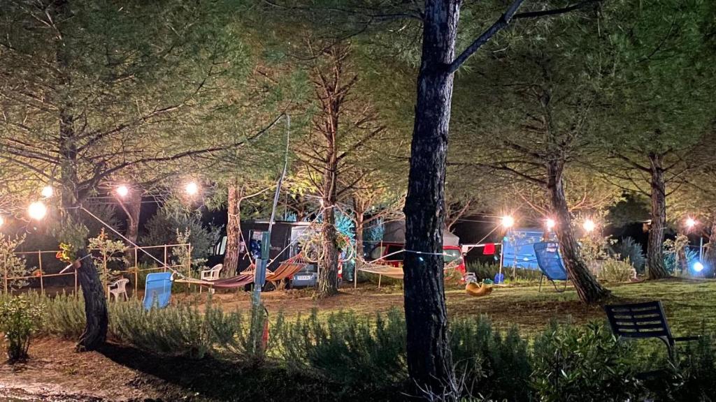 Herní místnost nebo prostor pro děti v ubytování AGRiCAMPiNG POGGiO Ai PiNi WiNE CAMPiNG