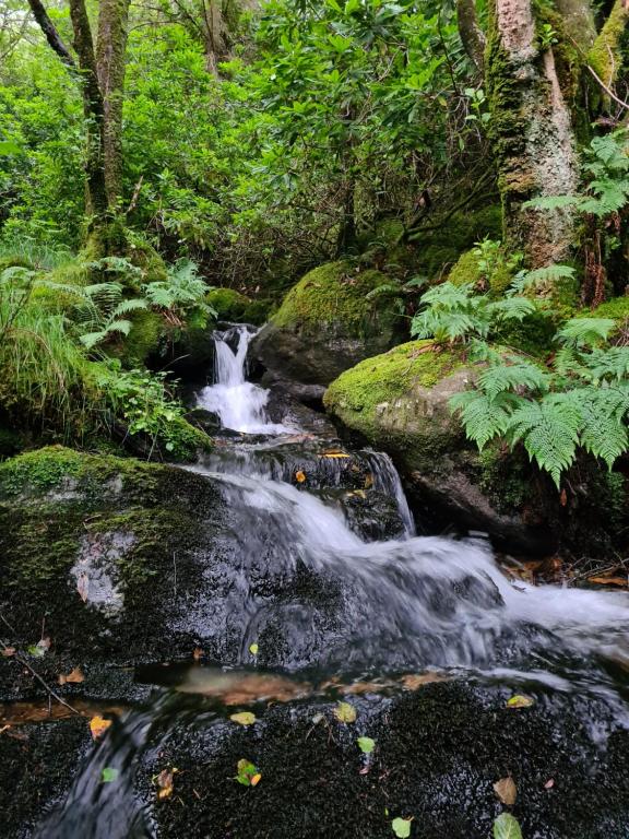 Paesaggio naturale nelle vicinanze della locanda