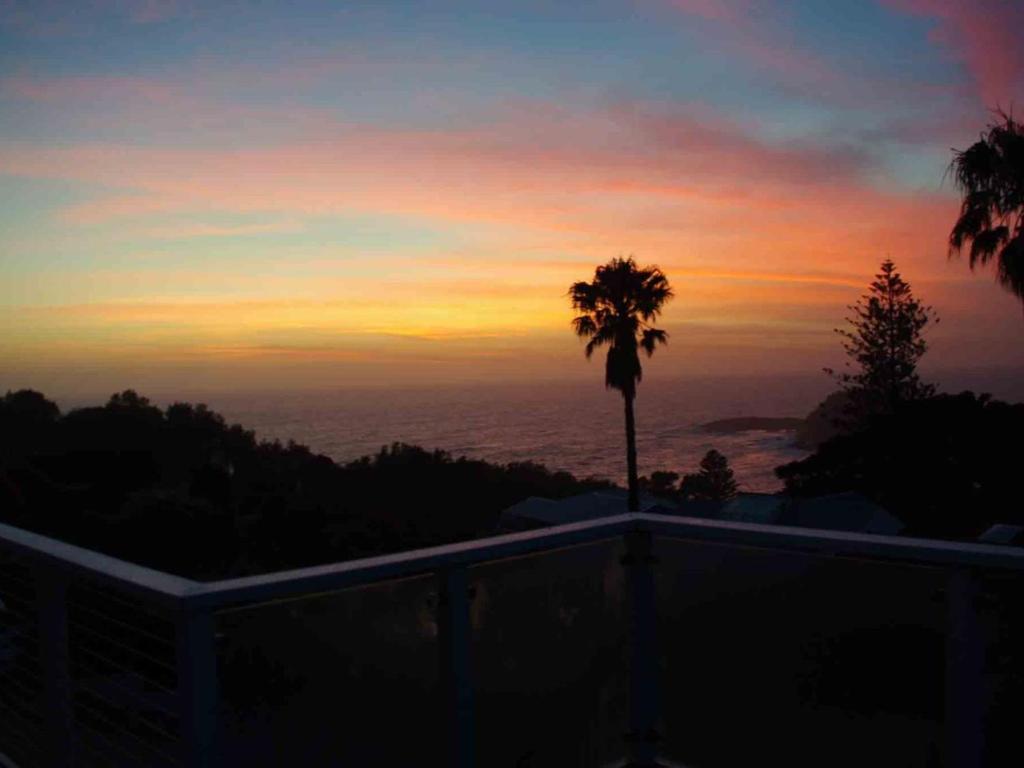 a palm tree in front of a sunset at Harbour Deck Boat Harbour Gerringong in Gerringong