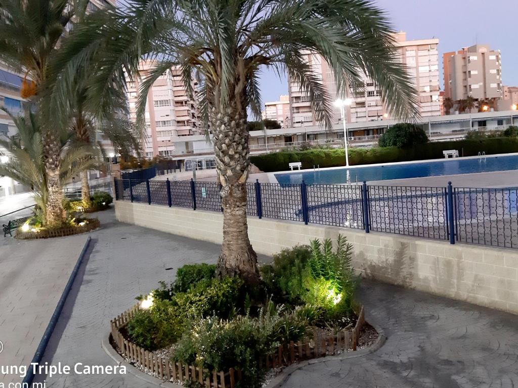Playa de San Juan ALICANTE, Alicante – Bijgewerkte prijzen 2023