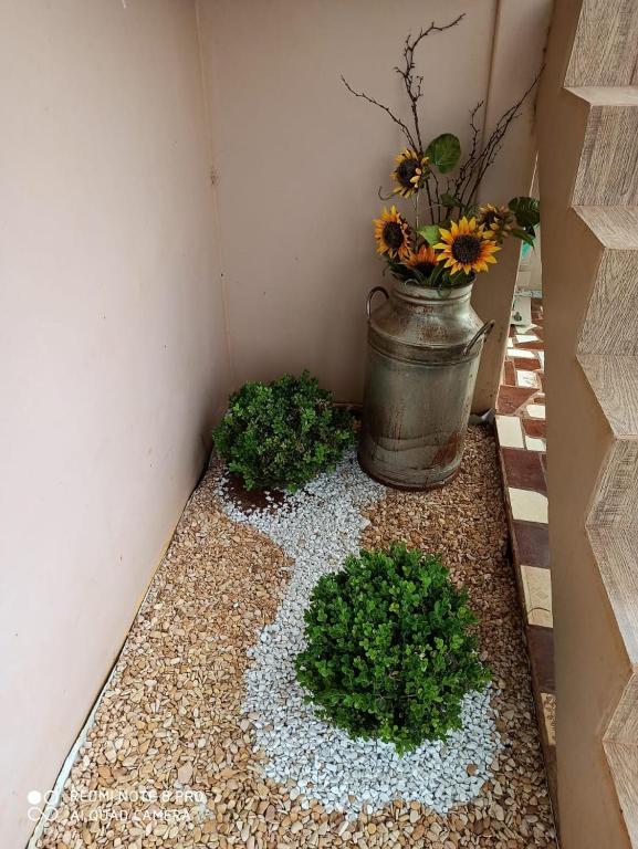  Sítio lindo com espaço para churrasco