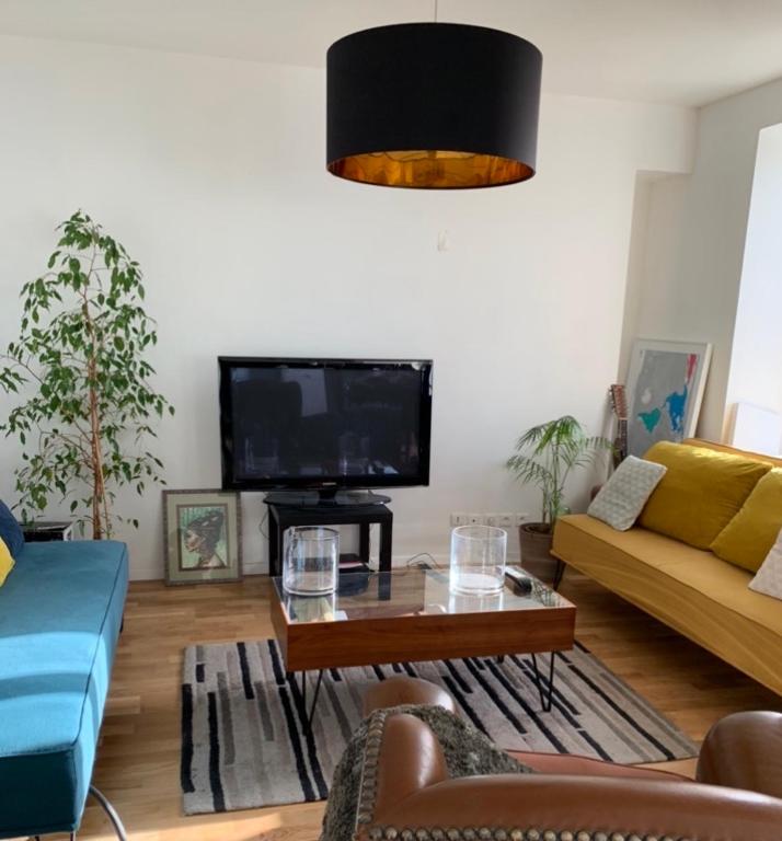 un salon avec un canapé et une table basse dans l'établissement Agréable Logement à Vierzon centre, à Vierzon