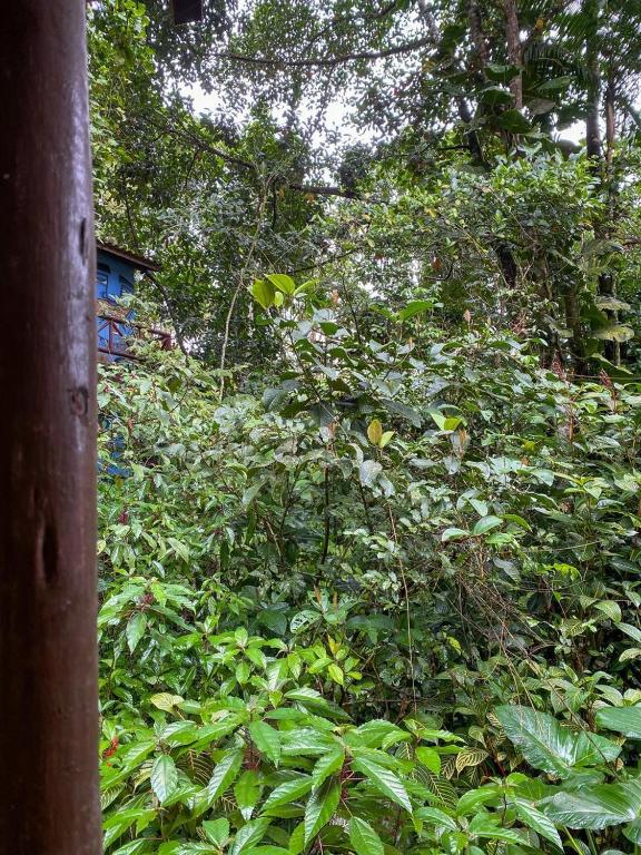  Pousada Village Flat