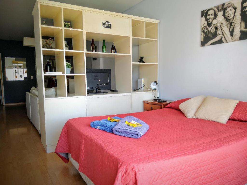 Luminoso monoambiente en Recoleta - One-Bedroom Apartment