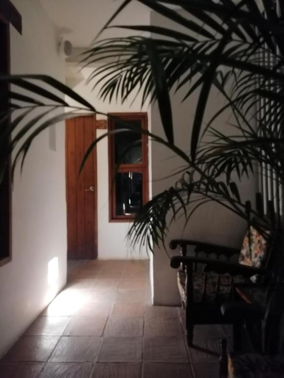 Fotografie z fotogalerie ubytování Casa Ebano 967 v destinaci Cartagena