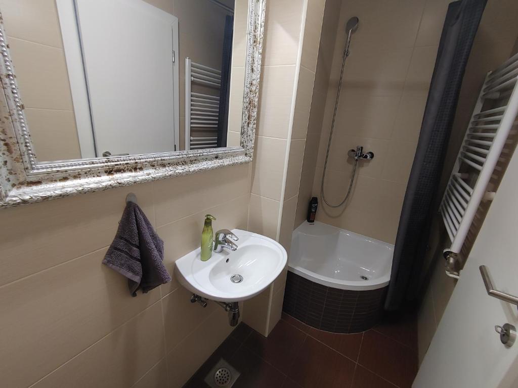 Zagreb Lodge Apartment - 11