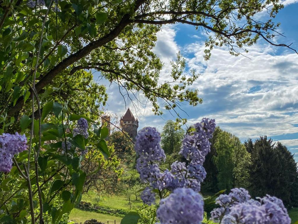 Hotel Burg Abenberg في Abenberg: إطلالة على حديقة بها زهور أرجوانية