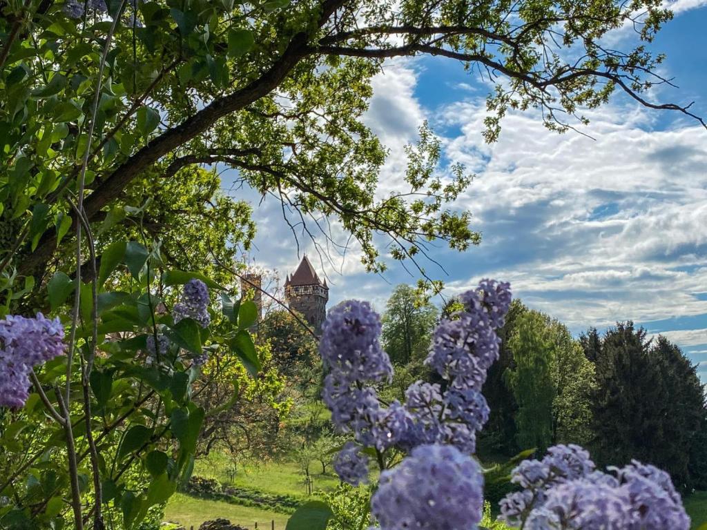 Zahrada ubytování Hotel Burg Abenberg
