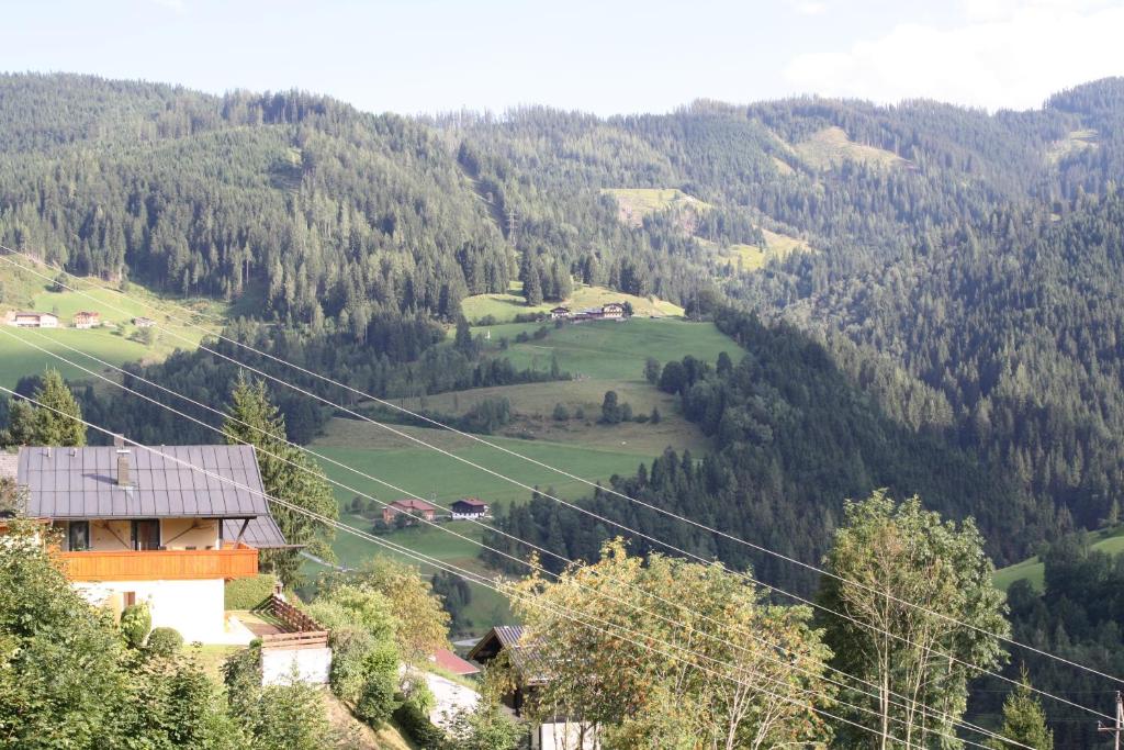 Príroda v okolí apartmánu
