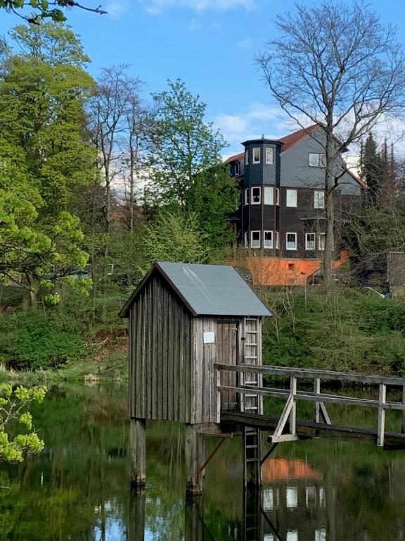 Una choza en el agua con una casa en el fondo en Haus am Kurpark en Clausthal-Zellerfeld