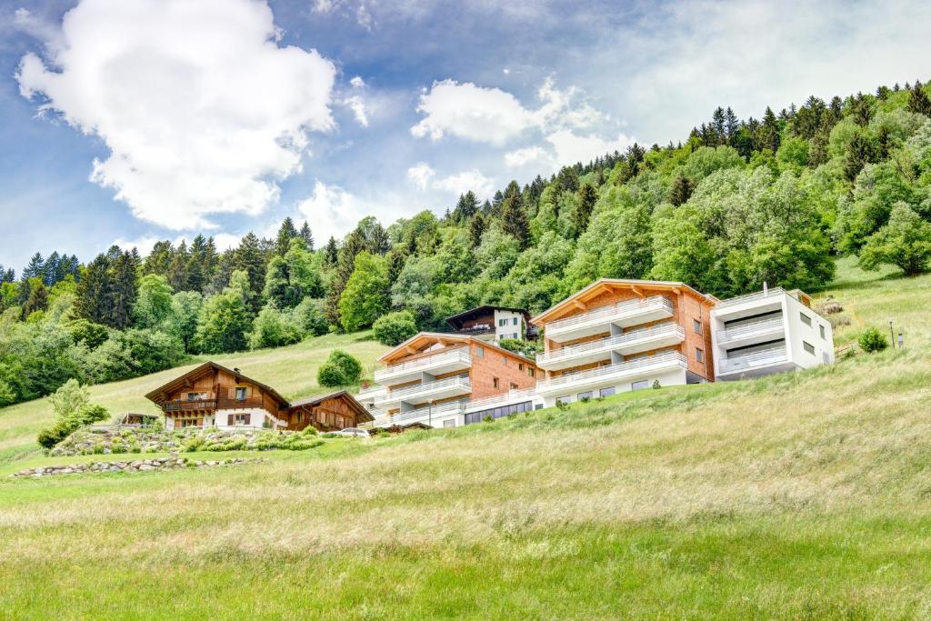 a group of buildings on a hill in a field at Appartement Valbona Blick by A-Appartments in Bürserberg