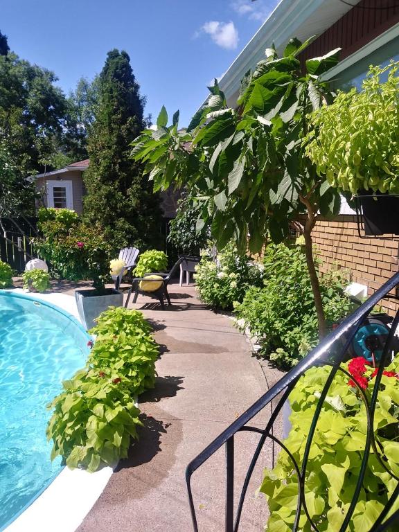 Bazén v ubytování Gîte Chez Baza nebo v jeho okolí