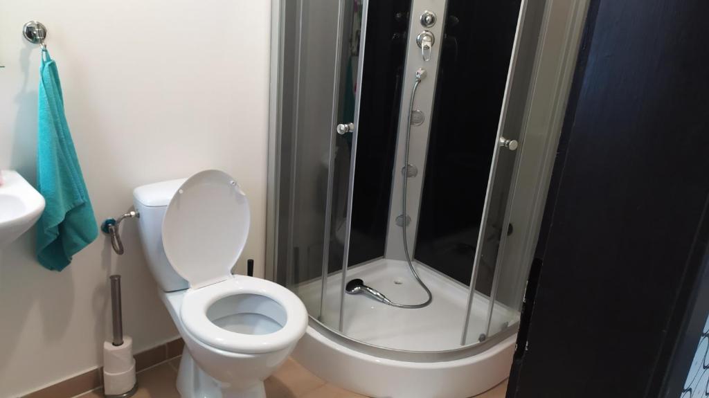 Koupelna v ubytování Apartmány Orlová
