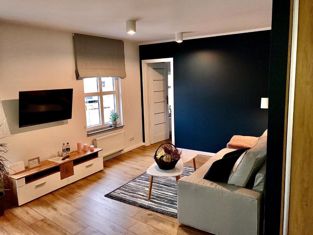 Televízia a/alebo spoločenská miestnosť v ubytovaní Apartament „Blue Forest”