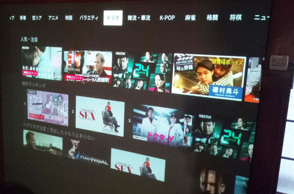 TV a/nebo společenská místnost v ubytování Kyoto Villa Kotone