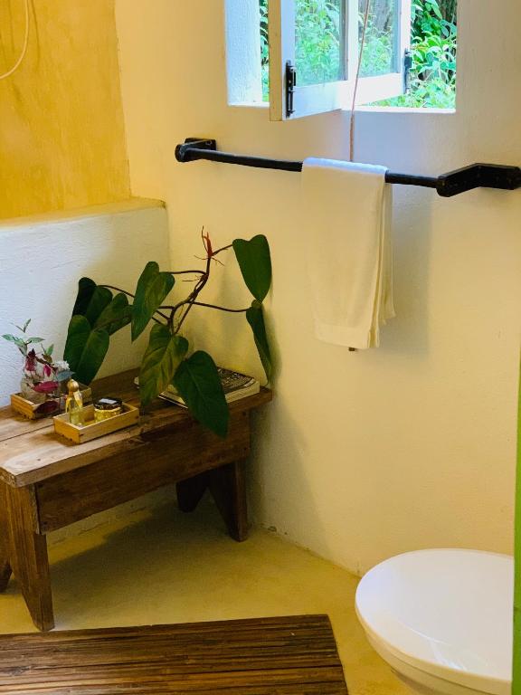  Casa Verde Trancoso