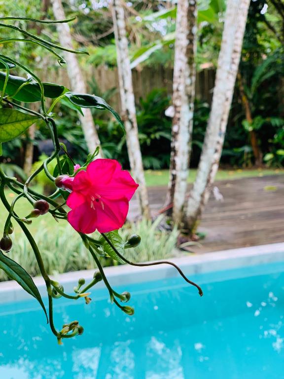  Casa Verde Trancoso